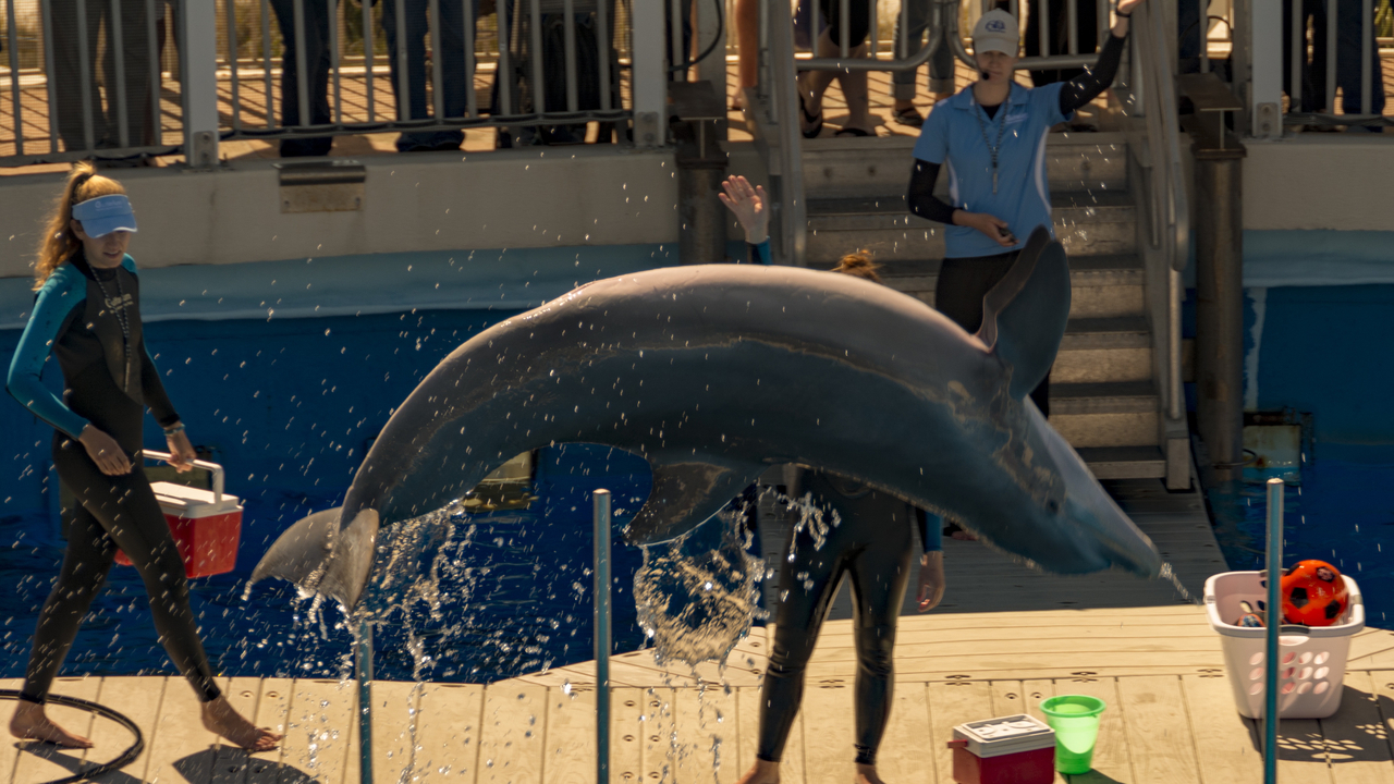 20160217-111357••Fort Walton Beach•Florida•USA